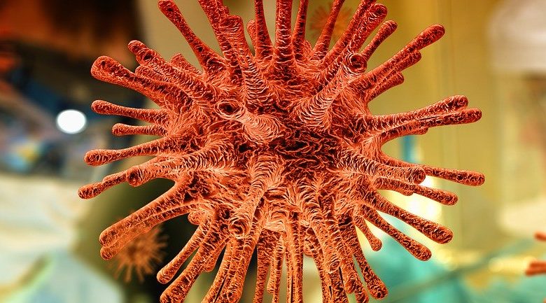 Coronavírus: informações importantes sobre a pandemia - Imagem de Gerd Altmann no Pixabay