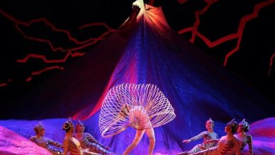Photo of Circo da China: motivos que vão convencer você a assistir ao espetáculo