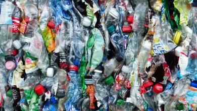 Photo of Qual a importância da reciclagem das embalagens plásticas?
